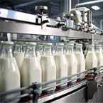 Dairy Industry